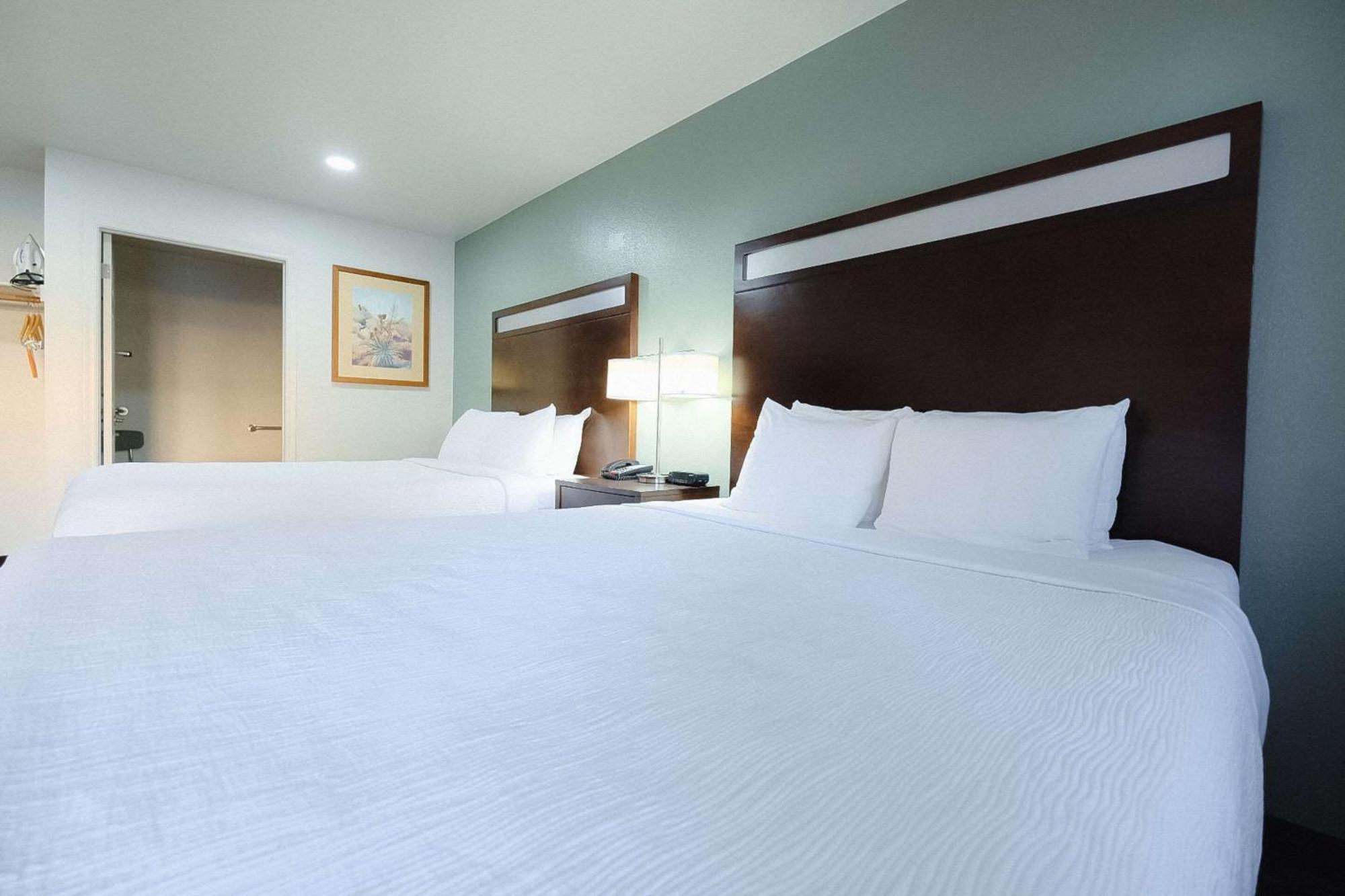 Quality Near Petrified Forest Inn Holbrook