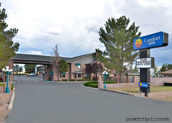 Inn Quality Near Petrified Forest 2*