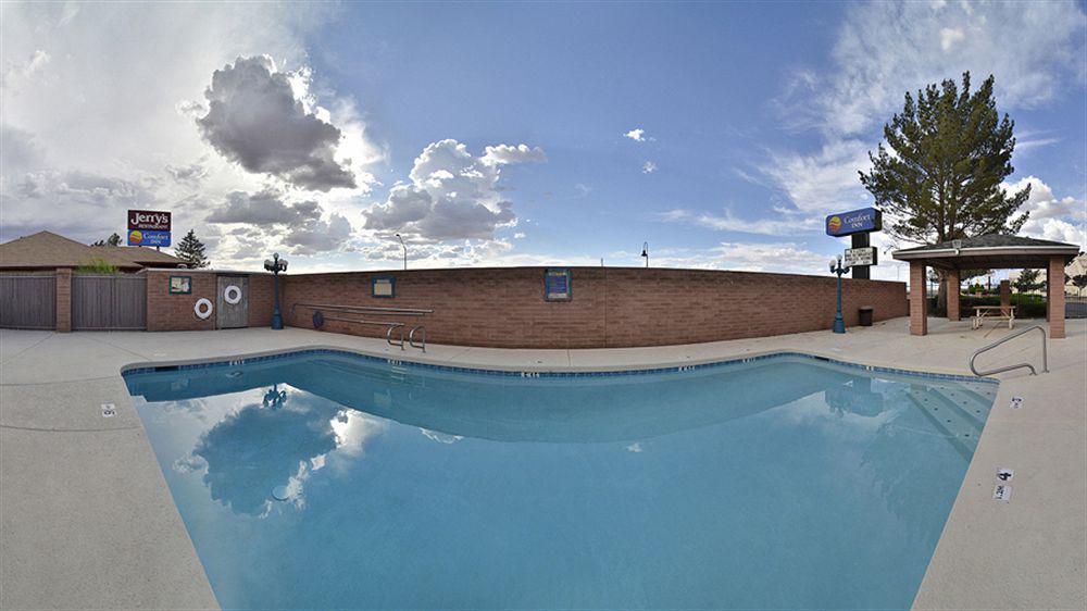 Quality Near Petrified Forest